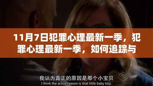 犯罪心理最新一季,追踪与解析犯罪心理的初学者与进阶指南(11月7日版)