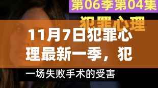 犯罪心理最新一季,追踪与解析犯罪心理的初学者与进阶指南(11月7日版)