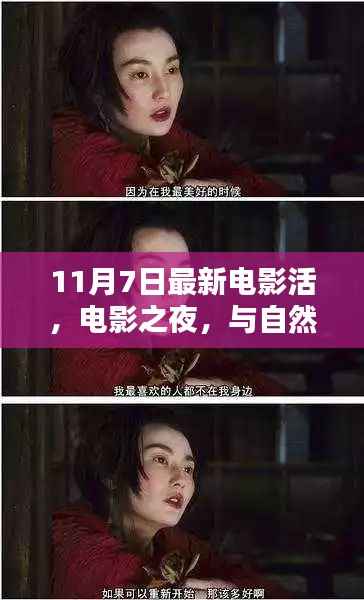 电影之夜,与自然美景的奇妙邂逅,启程寻找内心的宁静与平和之旅