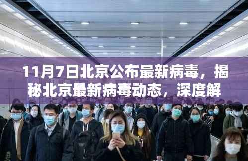北京最新病毒动态深度解析,揭秘、应对策略与最新更新(11月7日)