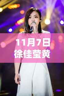 11月7日徐佳莹与黄致列的最新动态,音乐界瞩目时刻