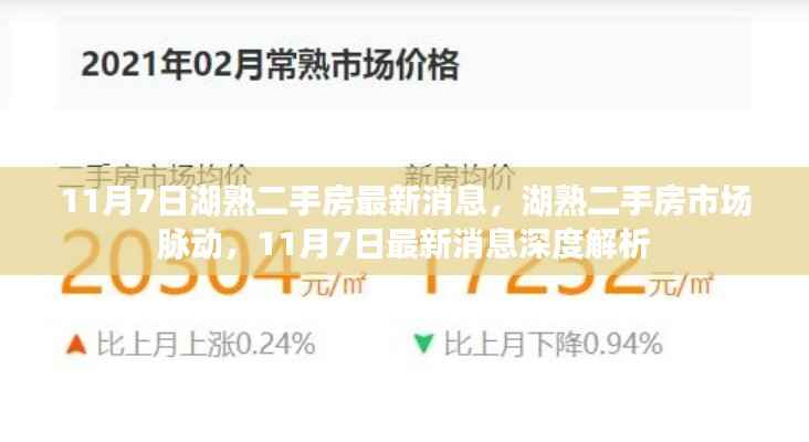 湖熟二手房市场最新动态解析,11月7日深度解读市场脉动