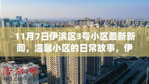 伊滨区3号小区11月7日新闻速递,温馨日常与深厚友情交织的快乐时光