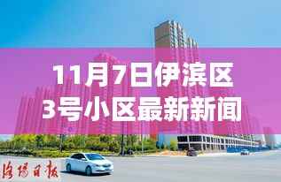 伊滨区3号小区11月7日新闻速递,温馨日常与深厚友情交织的快乐时光