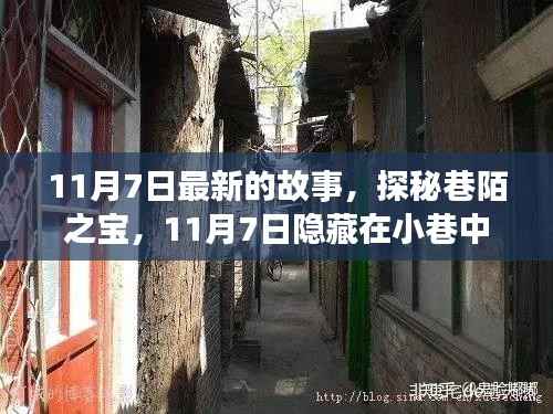 探秘巷陌之宝,11月7日小巷独特小店之旅