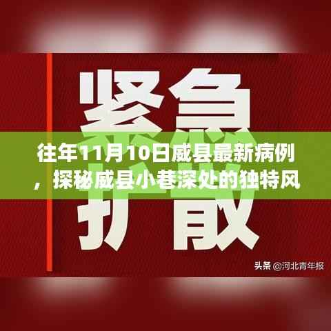 威县最新病例背后的故事,探秘小巷深处的独特风味与故事揭秘