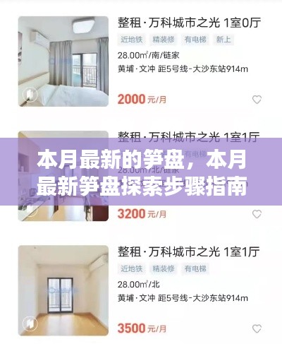 全方位攻略,从新手到进阶,探索本月最新笋盘探索步骤指南