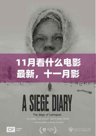 十一月影院盛宴,最新电影推荐、解析与观影指南