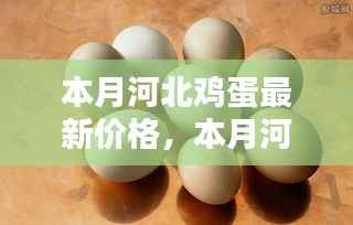 本月河北鸡蛋最新价格及分析概述