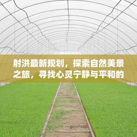 射洪最新规划,探索自然美景之旅,寻找心灵宁静与平和的旅程(2024年11月13日更新)