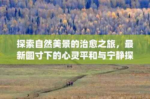 探索自然美景的治愈之旅,最新圆寸下的心灵平和与宁静探索(11月13日更新)