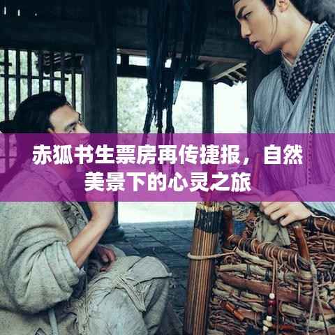 赤狐书生票房再传捷报,自然美景下的心灵之旅