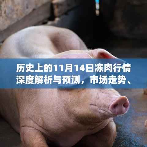历史上的11月14日冻肉行情深度解析与预测,市场走势、影响因素及前景展望