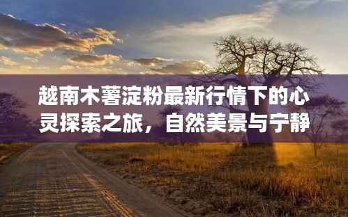 越南木薯淀粉最新行情下的心灵探索之旅,自然美景与宁静港湾的探寻