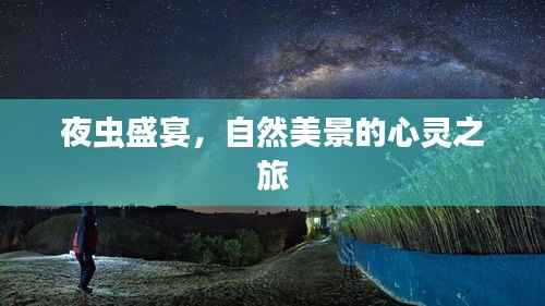 夜虫盛宴,自然美景的心灵之旅