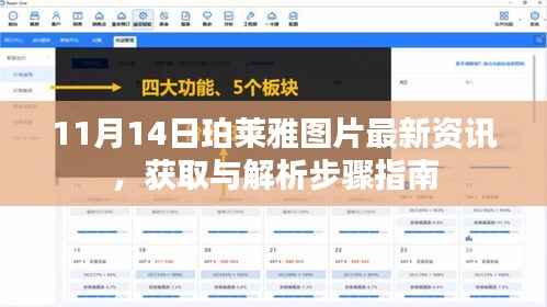 11月14日珀莱雅图片最新资讯,获取与解析步骤指南