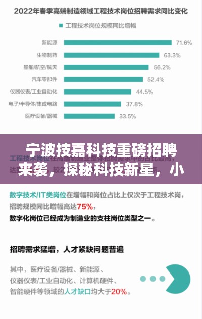 宁波技嘉科技重磅招聘来袭,探秘科技新星,小巷深处的职场机遇!