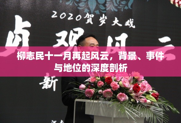 柳志民十一月再起风云,背景、事件与地位的深度剖析