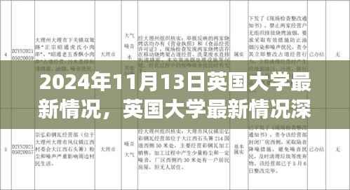 英国大学最新深度评测报告,以2024年11月13日为观察点分析最新动态