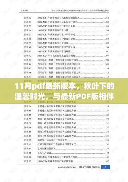 秋叶下的十一月奇遇记,最新PDF版相伴的温馨时光