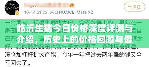 临沂生猪今日价格深度评测与介绍,历史上的价格回顾与最新动态分析