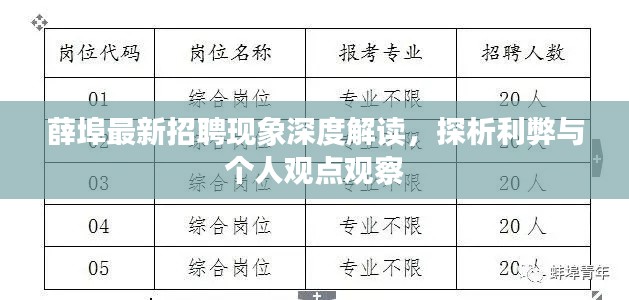 薛埠最新招聘现象深度解读,探析利弊与个人观点观察