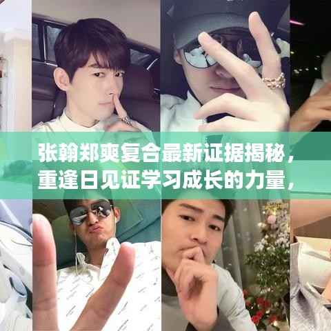 张翰郑爽复合最新证据揭秘，重逢日见证学习成长的力量，自信成就之巅的诞生