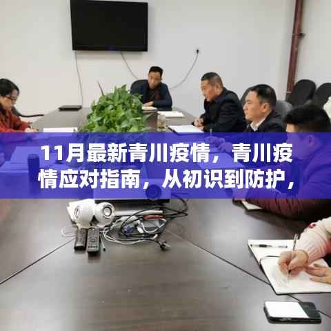 全面解析青川疫情应对指南,从初识到防护,掌握最新动态迎战青川疫情