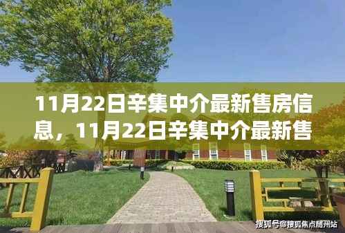 辛集中介最新售房信息与学习变化,拥抱新生活,自信成就梦想之路