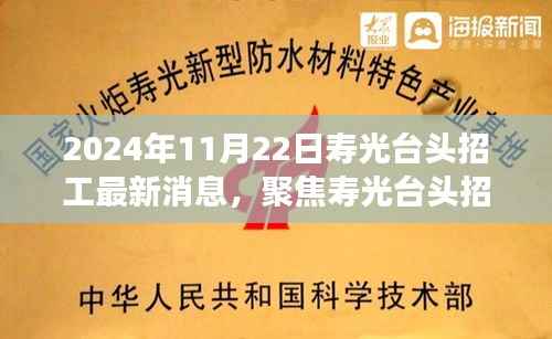 寿光台头招工最新消息解读,聚焦最新招工动态(2024年11月22日)