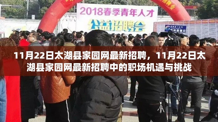 11月22日太湖县家园网最新招聘,职场机遇与挑战一览