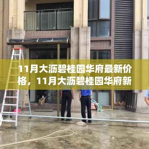 11月大沥碧桂园华府最新价格动态，变化中的学习，自信铸就辉煌