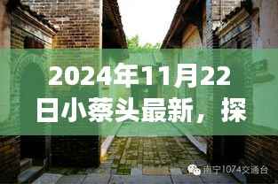 小蔡头探秘隐藏小巷美食,独家风味小店之旅