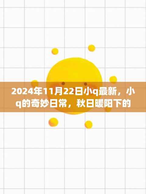 秋日暖阳下的温馨时光,小q最新日常分享