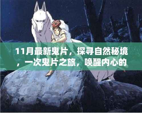 11月最新鬼片探寻秘境之旅,唤醒内心的宁静与微笑