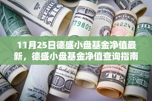 德盛小盘基金净值最新数据(11月25日),查询指南适用于初学者与进阶用户