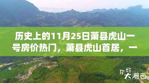 萧县虎山一号房价背后的故事,历史时刻与温馨居所的探寻