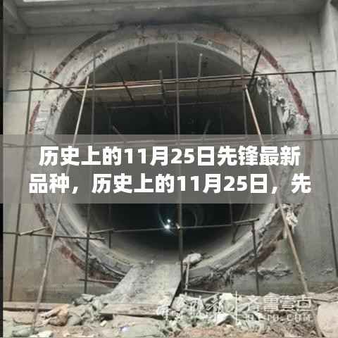 林下风范 第4页