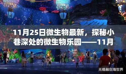 探秘小巷深处的微生物乐园,11月25日的微生物新发现