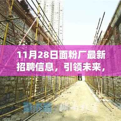 11月28日面粉厂最新招聘信息,引领未来,科技重塑生活——面粉厂最新智能生产线招聘信息与高科技产品体验之旅