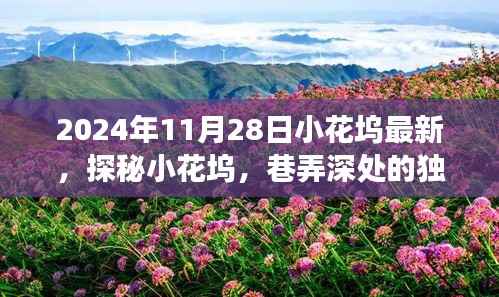 探秘小花坞,巷弄深处的独特风味,惊喜之旅(最新报道,2024年11月28日)