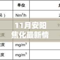 11月安阳焦化奇遇记,温情日常与最新动态