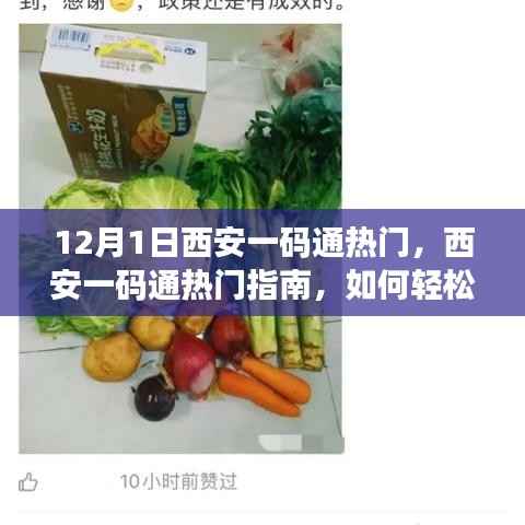 西安一码通使用指南,轻松完成注册与使用,初学者与进阶用户都适用(12月热门话题)