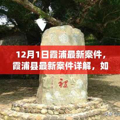 霞浦县最新案件详解及应对步骤指南,从初学者到进阶用户的全方位跟进