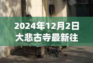 探秘大悲古寺,往生纪实与小巷深处的温暖故事(最新报道)