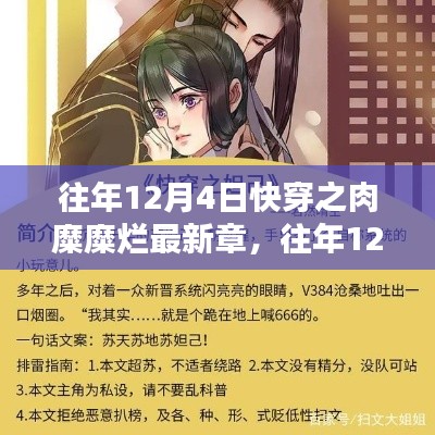 往年12月4日快穿之肉糜糜烂最新章,深度解析与探索
