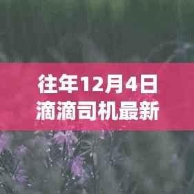 滴滴司机导航更新,与自然美景相遇的宁静之旅