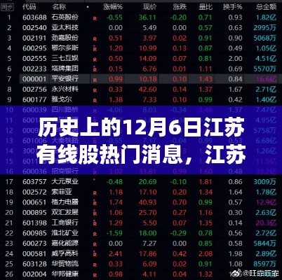 纲举目张 第4页