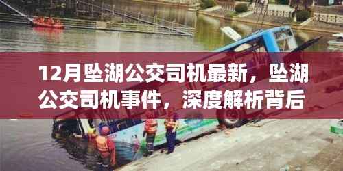 深度解析,坠湖公交司机事件背后的故事与最新进展