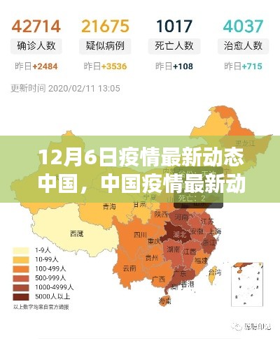 中国疫情最新动态深度解析,12月6日最新报告